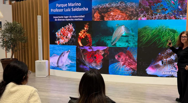 sem_nome__1080_x_1920_px___1080_x_1350_px___1920_x_844_px_