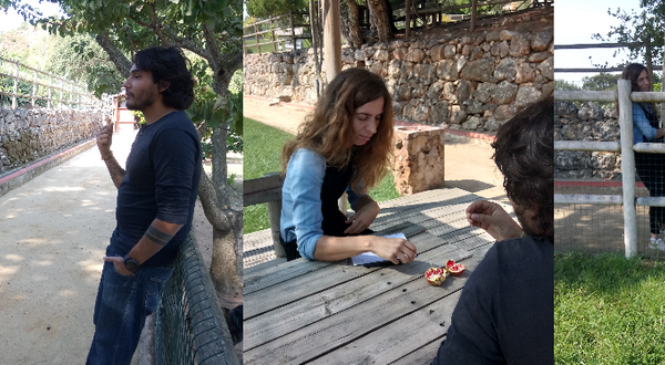 quintapedagogica_mosaico