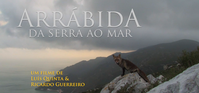 arrabida_daserraaomar