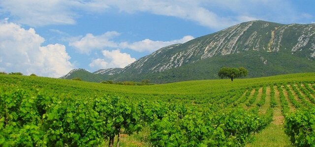 fotodejorgemalveiroarrabida