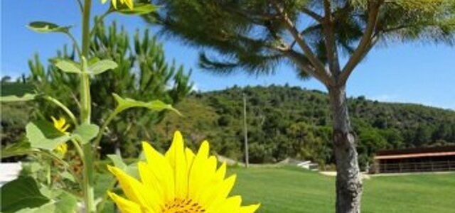 agendaprofessor20112012