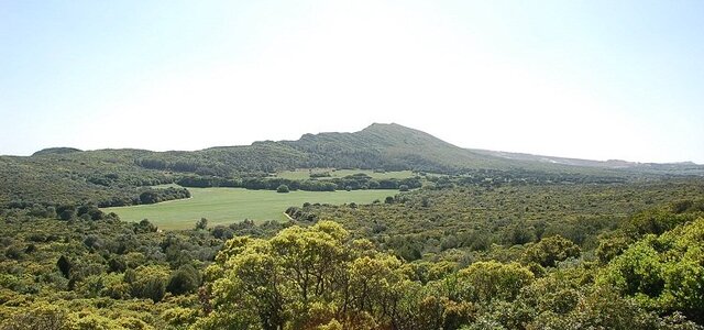 ederfernandesserradorisco