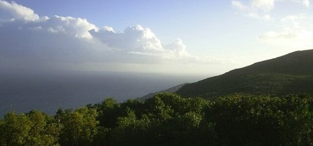 1barrabidataniamendes