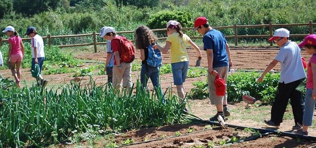 apresentacao_quinta_pedagogica_210510