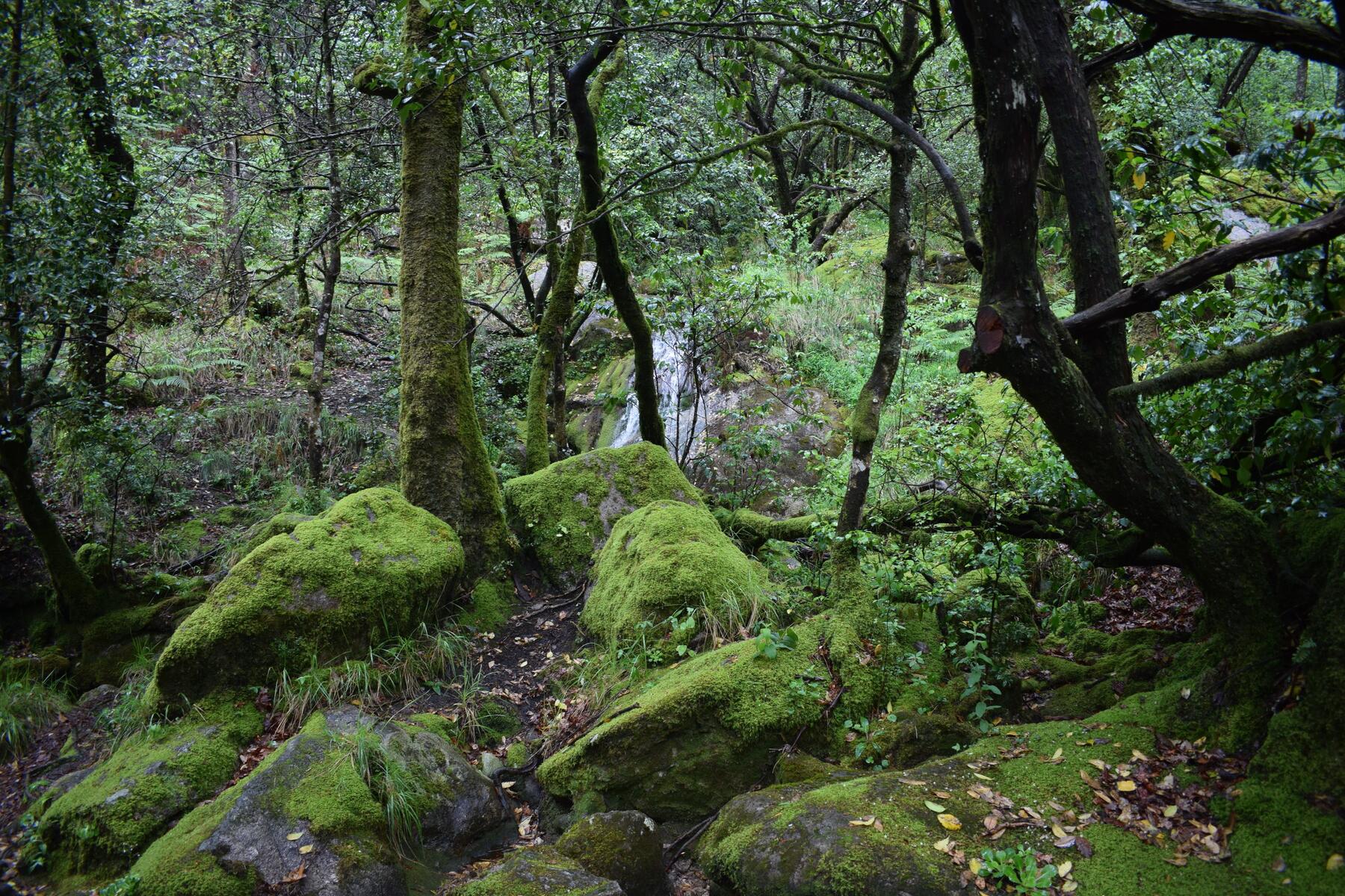DSC_2904