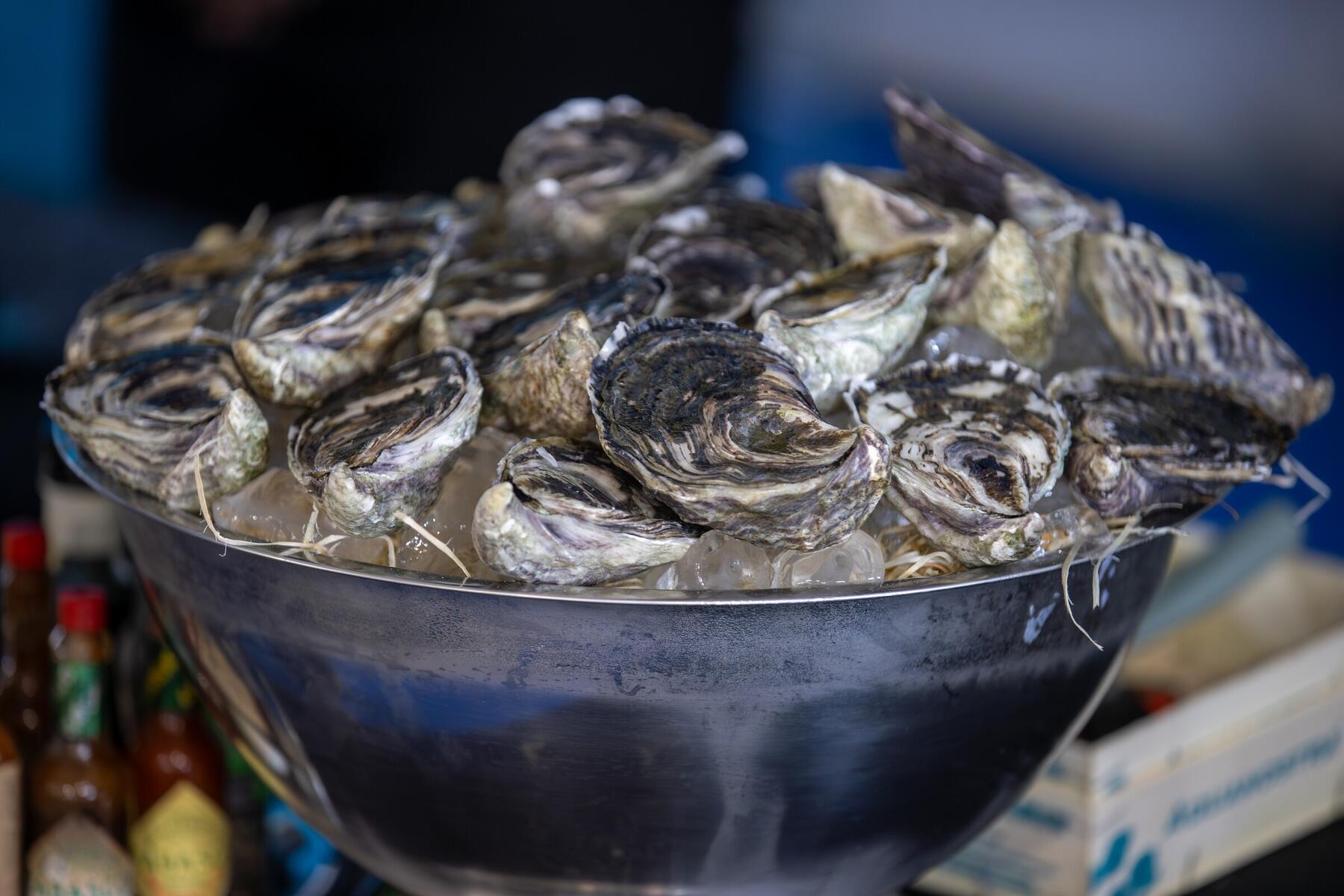 2025-05-08-1º Encontro de Agentes de Turismo - Tiago Rebola (63)
