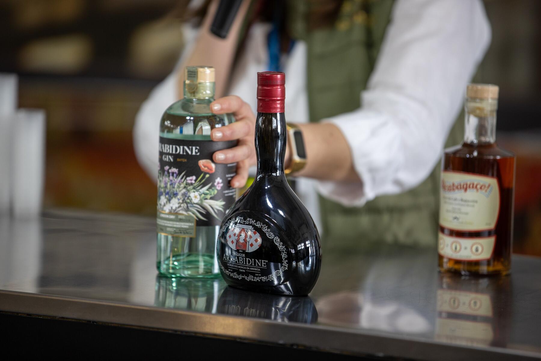 2025-05-08-1º Encontro de Agentes de Turismo - Tiago Rebola (123)