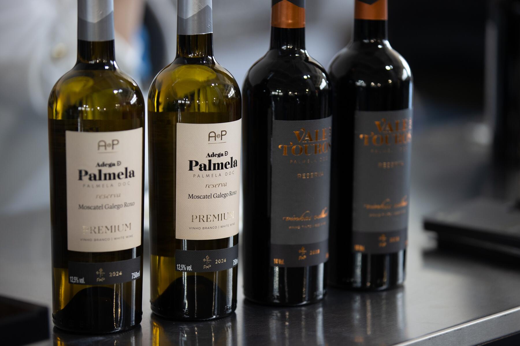 2025-05-08-1º Encontro de Agentes de Turismo - Tiago Rebola (160)