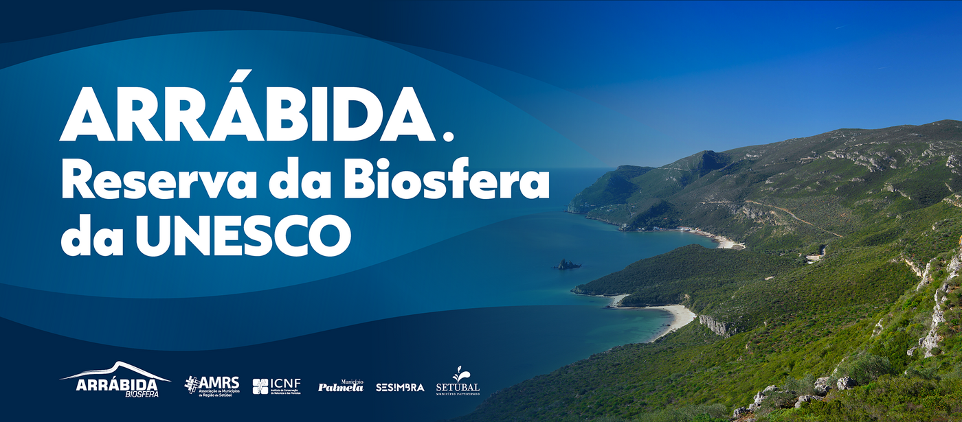 site_amrs_1920x844px